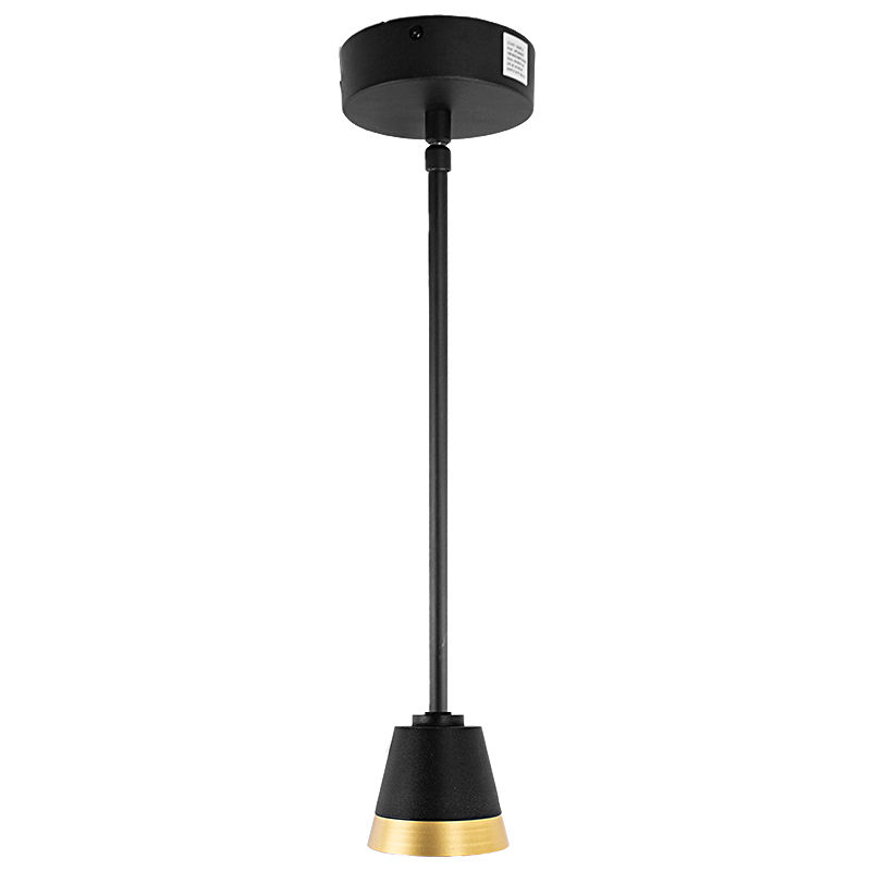 LCFQ 2 Resized Image.jpg